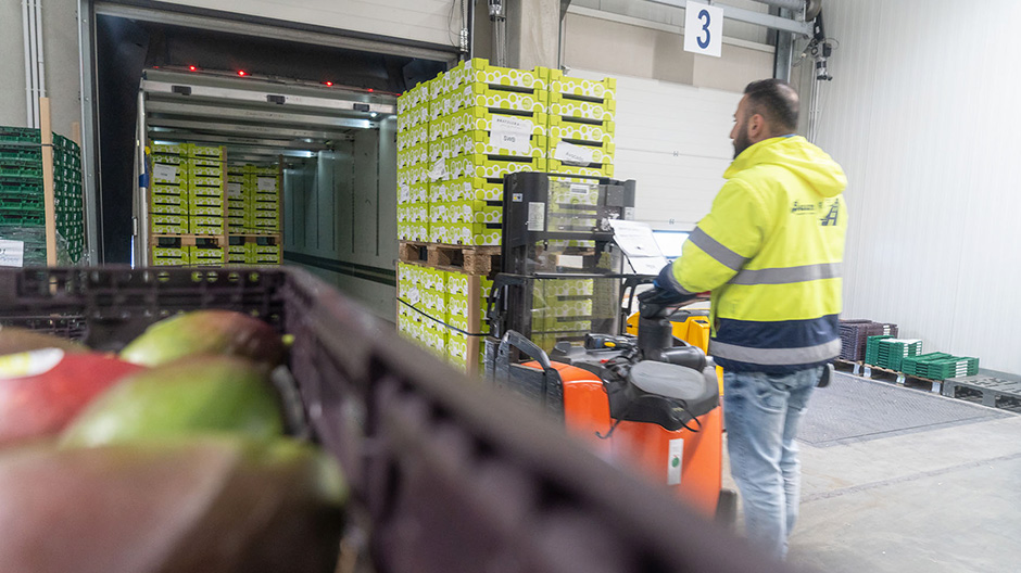 Freshness guaranteed every day: Baam is specialised in transporting fruit and vegetables.