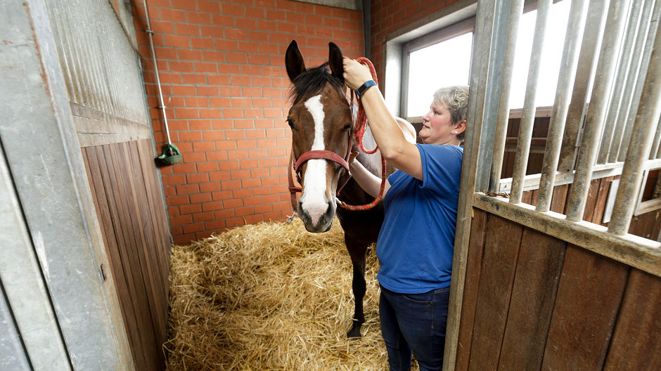 More than a job: Melanie grew up with horses, so her enthusiasm for the animals goes well beyond her job.