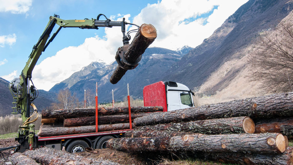 Independence: a crane is mounted to the Actros so that Silvano can load the wood directly in the yards.