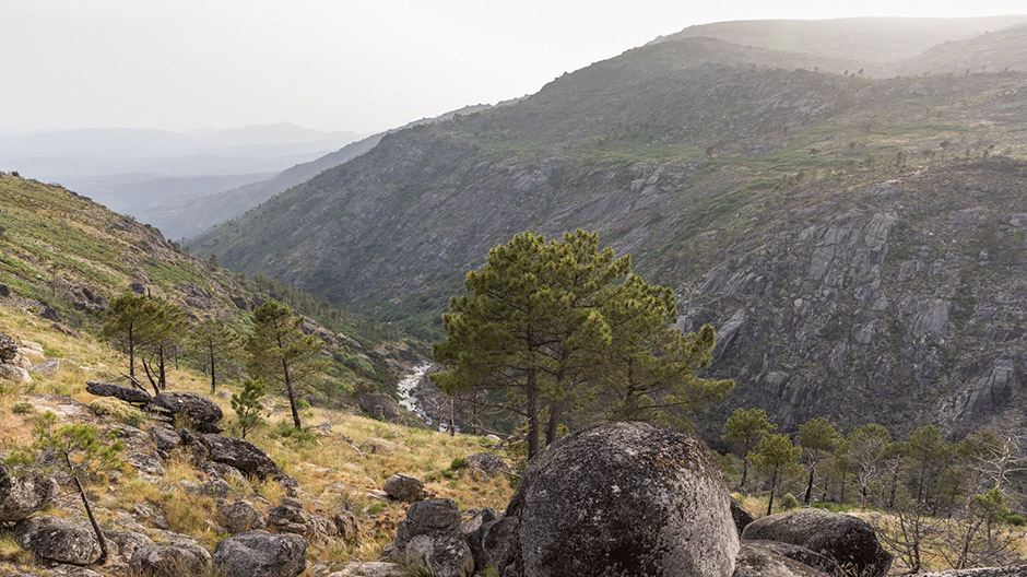 Serra da Estrelan luonnonpuisto on karu ja villi - Axor on elementissään. 