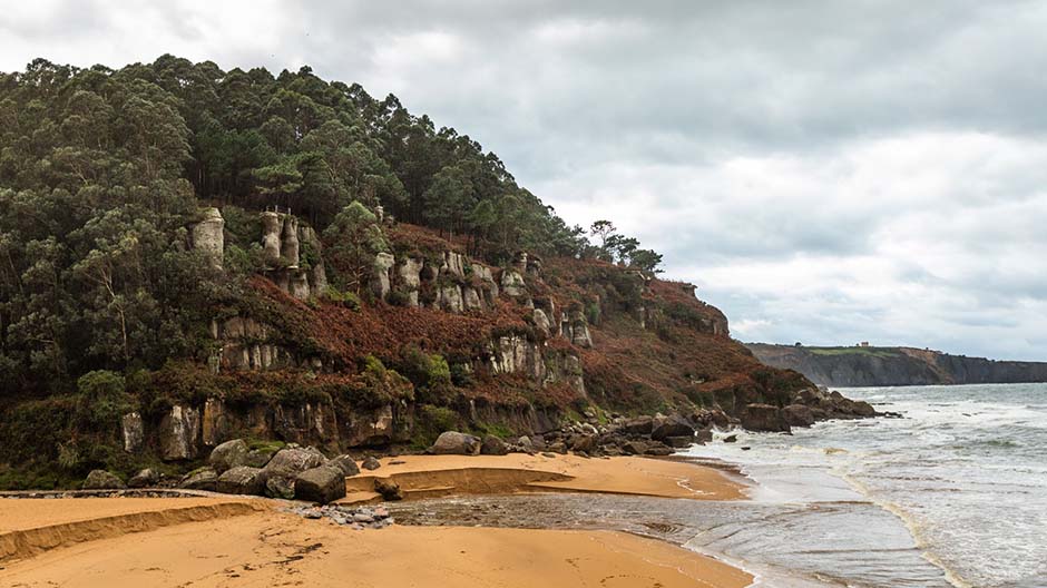 … et la plage de la Ñora  entourée d’une épaisse forêt d’eucalyptus.