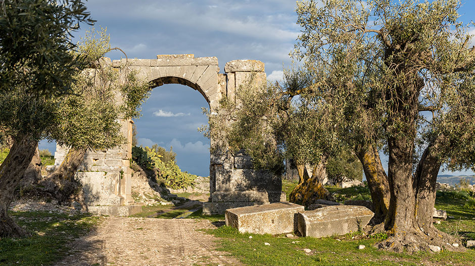 Historischer Ort vor überraschend grünem Hintergrund: Thugga ist eine römische Siedlung aus dem dritten Jahrhundert.