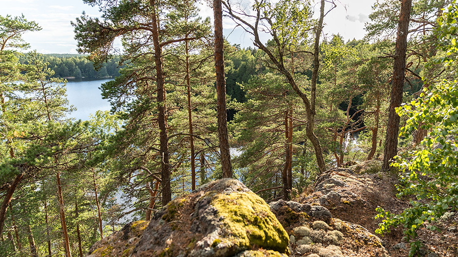 Caminar, escalar, montar en balsa: el parque nacional Teijo ofrece rutas de senderismo con la mejor señalización, pero aun así exigentes.