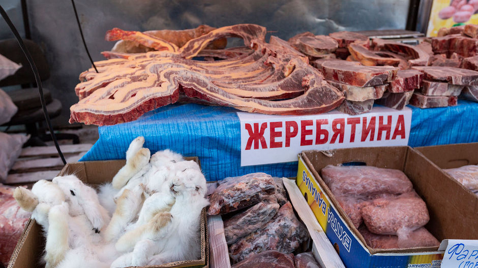 O mare de pești la alegere în piața de pește din Iakuțk – și în sfârșit există din nou semnal la telefonul mobil! Pe drumul spre Oimiakon, cuplul Kammermann a traversat săptămâni întregi zone fără rețea de acoperire.