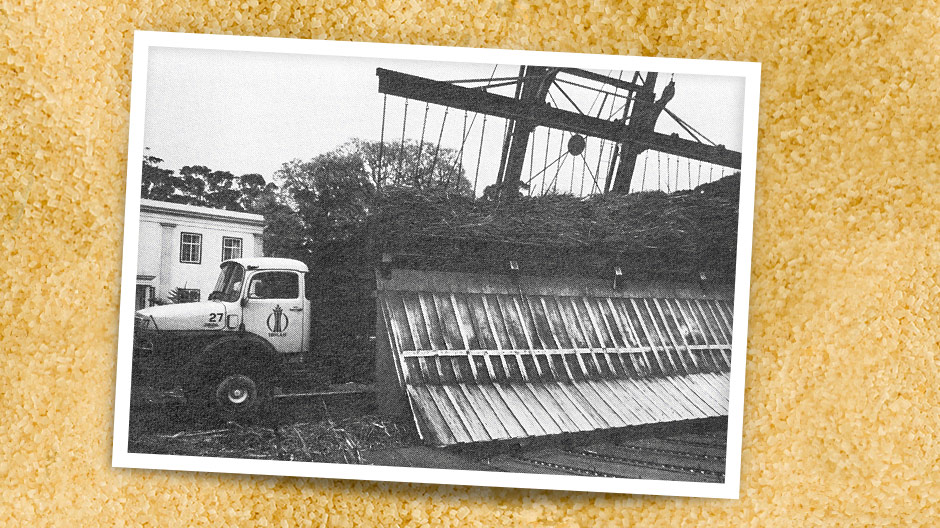 All'interno degli spazi della fabbrica, lo zucchero viene caricato sui Trucks grazie al sistema HILO.