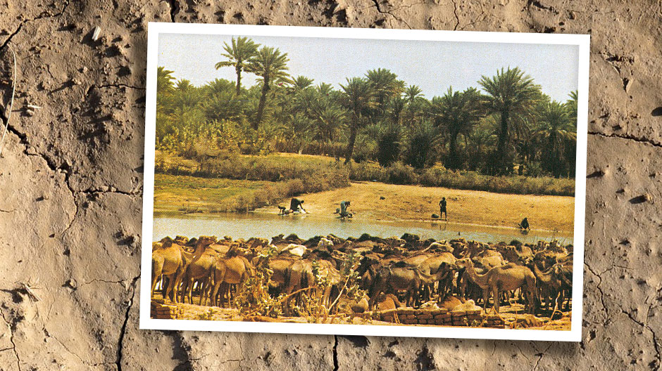 Población agradecida: los ocho 2632 abastecieron de cereales a los habitantes de remotas regiones de Mauritania.