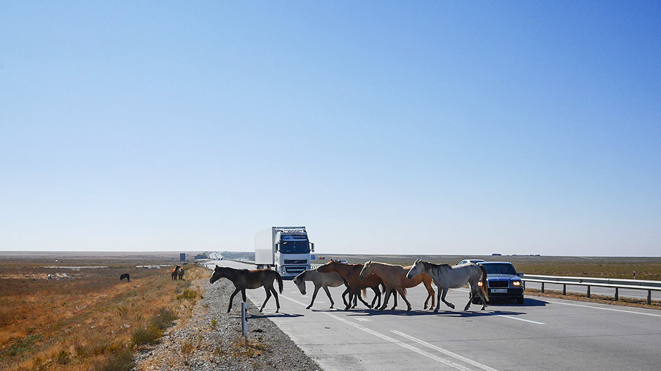 Los caballos cruzan la carretera constantemente. Junto al camino, los comerciantes se dedican a vender sus productos.