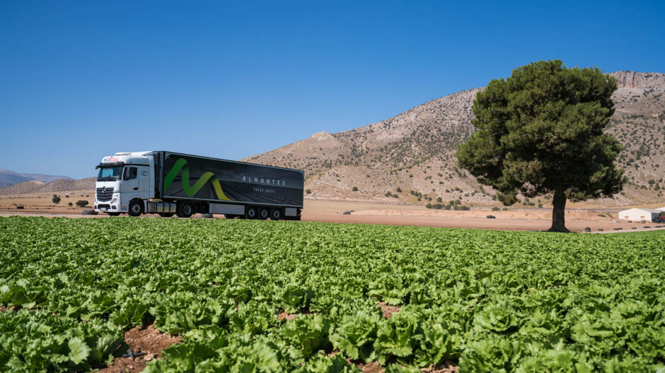 Faibles coûts, abondante récolte. Plein à ras bord de salades vertes, un Actros de Miratrans sort d’une ferme d’El Montes dans le nord-ouest de la province de Murcie.