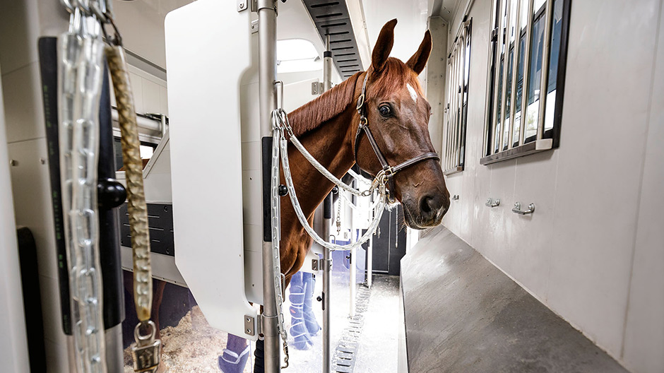 Artanpassat. Båsen i Horse Truck är anpassade till hästarnas behov. Således har djuren alltid ljus och luft, och det finns inga vassa kanter.