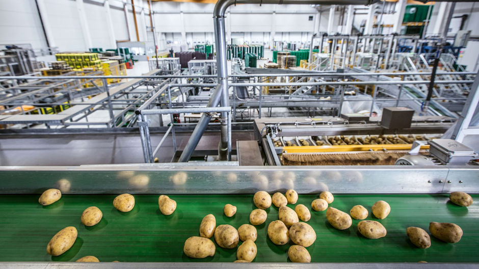 Makellos und appetitlich. Die Verpackungsanlage in Mönchengladbach ist hochautomatisiert – jede Kartoffel wird kontrolliert und auf das richtige Förderband geschickt.